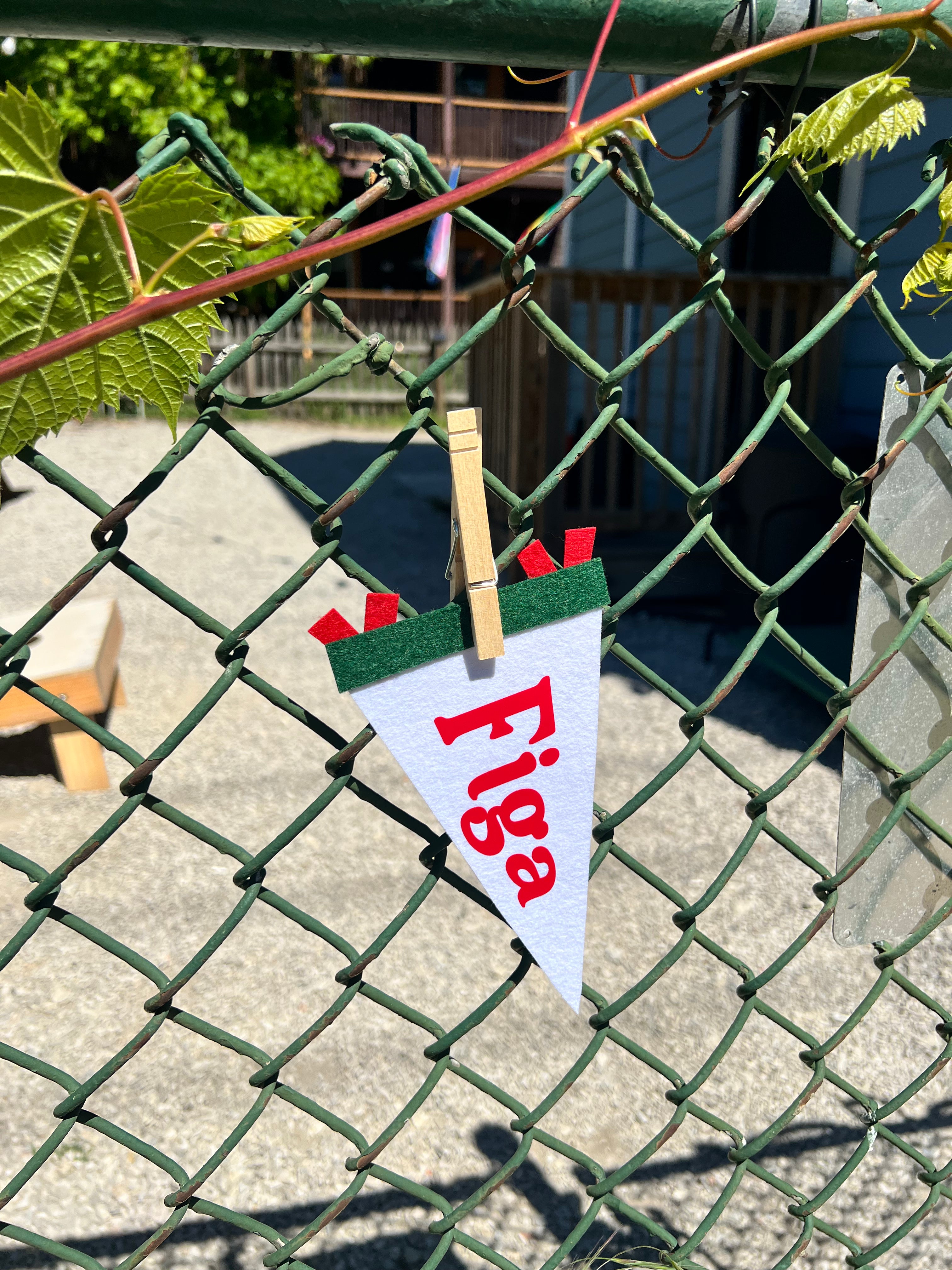 Italian Slang Pennant Flags