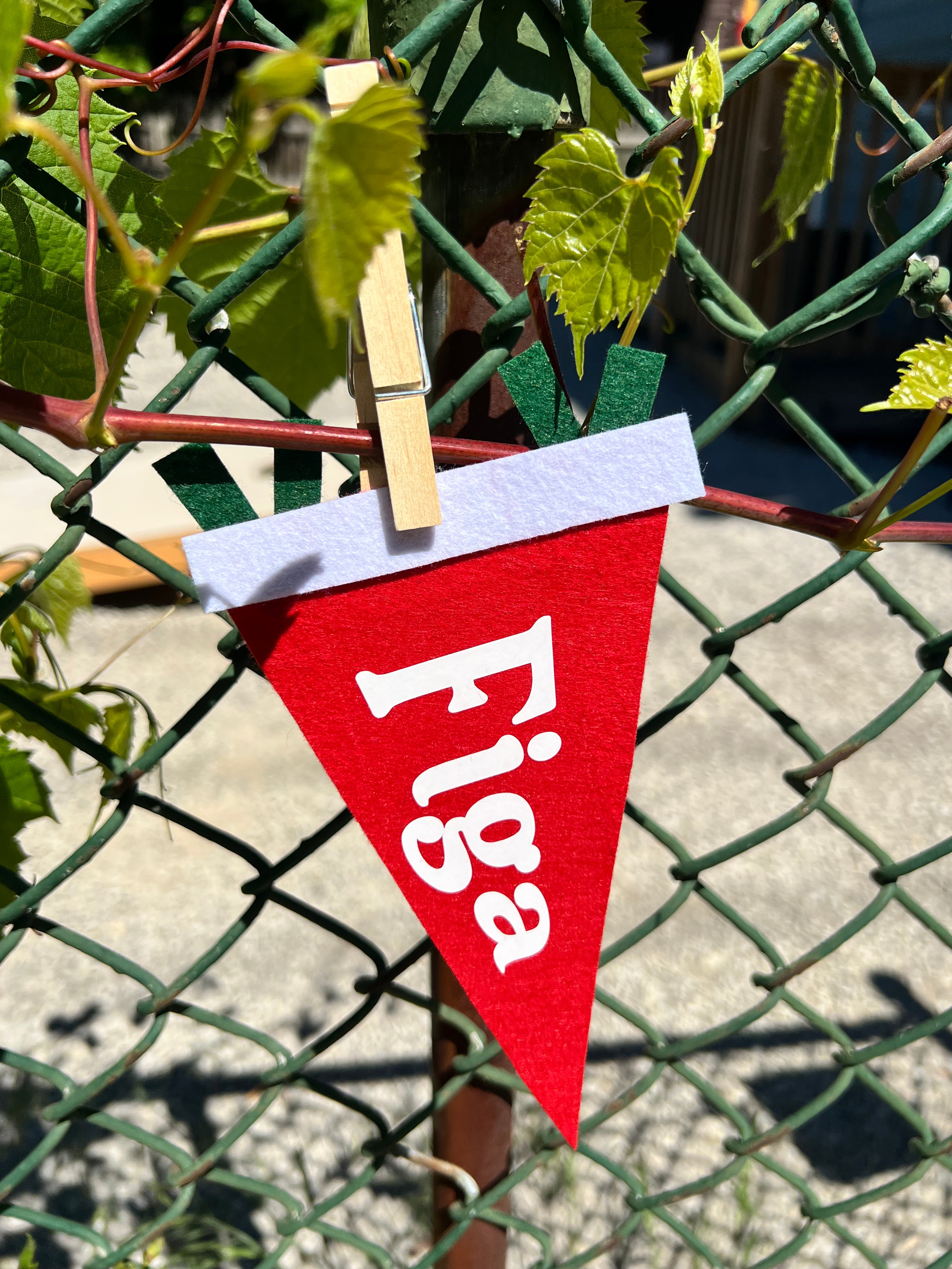 Italian Slang Pennant Flags